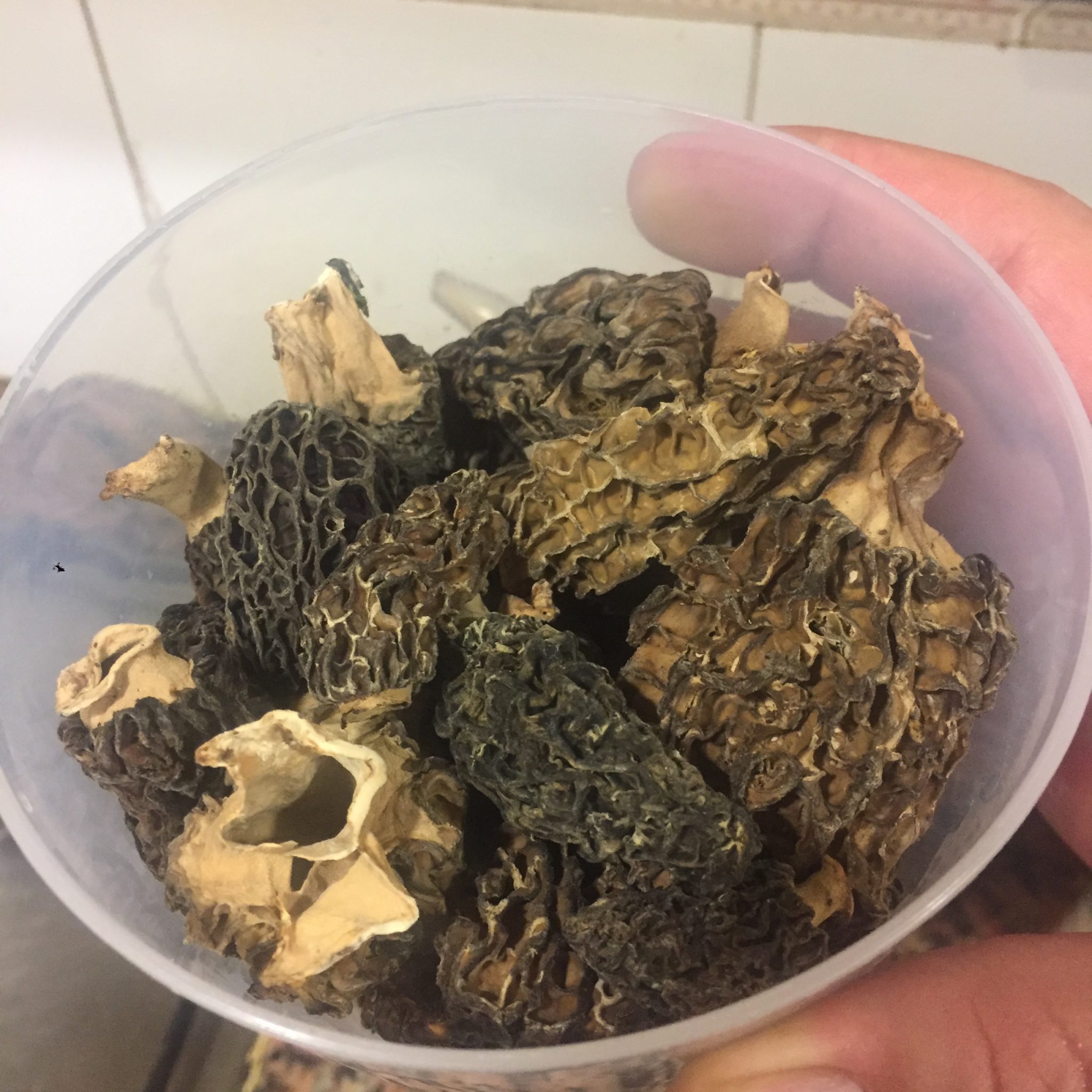 Remanat de múrgoles
