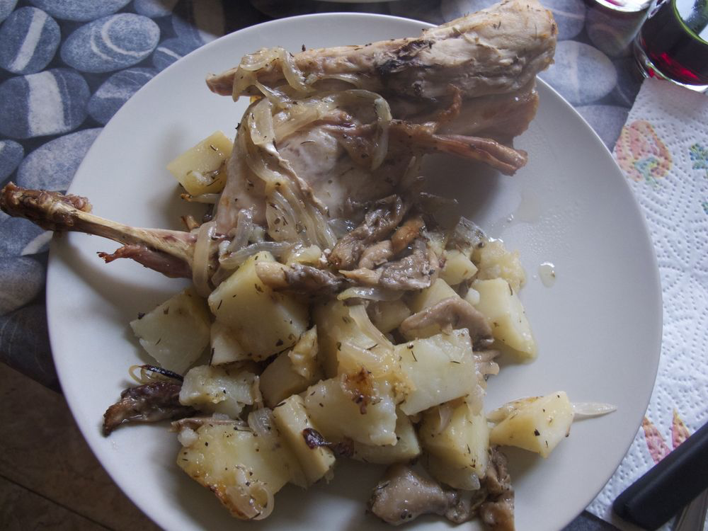 Conill; avui al forn