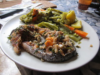 Salmó al micro; menjar sanote 100×100